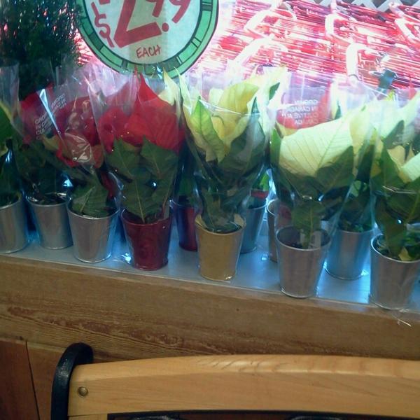 Photo taken at Trader Joe's by Shinell B. on 11/29/2013-弗吉尼亚州纽波特纽斯杰弗逊大道12551 Photo taken at Trader Joe's by Shinell B. on 11/29/2013