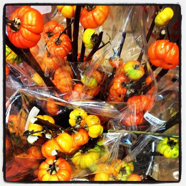 Photo taken at Trader Joe's by Leslie T. on 10/29/2013