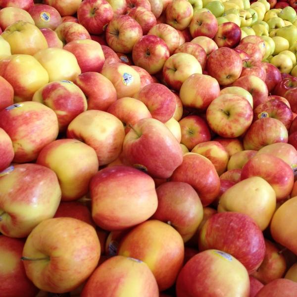 Photo taken at Whole Foods Market by Sam W. on 1/3/2013-奥勒冈蒂伽德西南布里奇波特路7380 (西南hazelfern路) Photo taken at Whole Foods Market by Sam W. on 1/3/2013