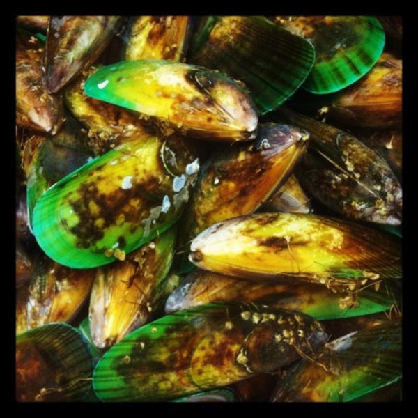 Photo taken at Countdown by 