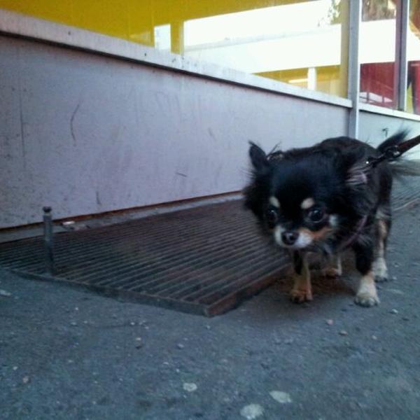 Photo taken at S-market by Yannis D. on 3/22/2012