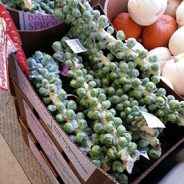 Photo taken at Trader Joe's by John on 10/13/2013