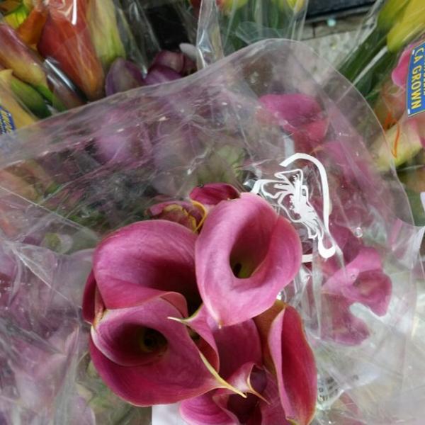 Photo taken at Trader Joe's by Paul K. on 7/12/2014-纽泽西 韦恩汉堡收费公路1172(502州线) Photo taken at Trader Joe's by Paul K. on 7/12/2014