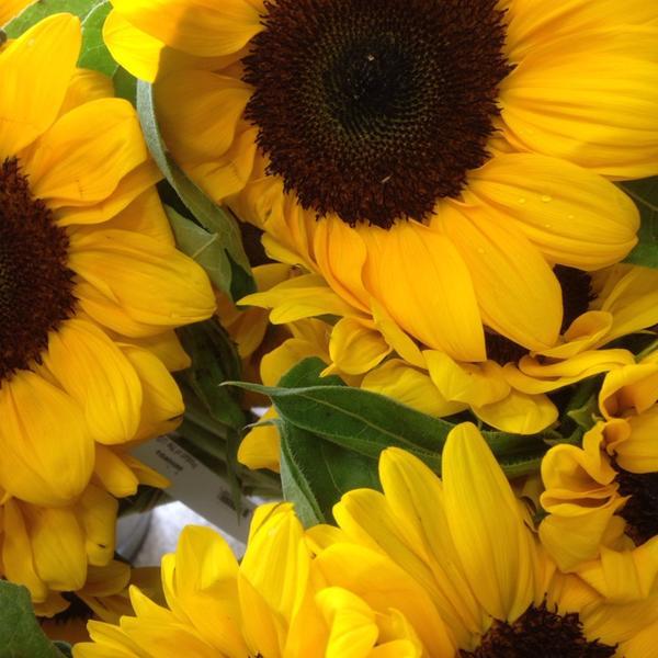 Photo taken at Trader Joe's by Paul K. on 7/3/2014-纽泽西 韦恩汉堡收费公路1172(502州线) Photo taken at Trader Joe's by Paul K. on 7/3/2014