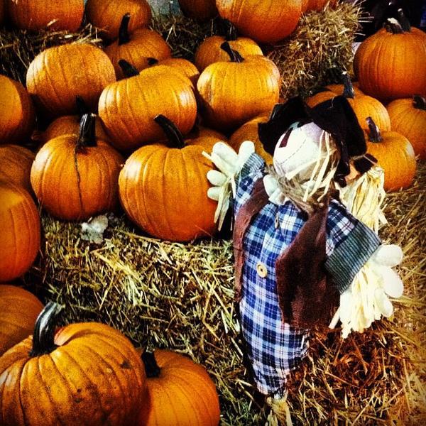 Photo taken at Whole Foods Market by Nina on 9/27/2012