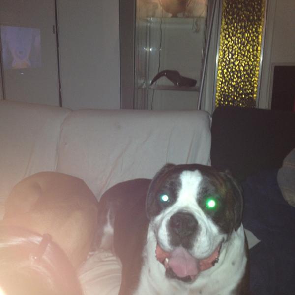 Photo taken at Trader Joe's by Super S. on 2/4/2013