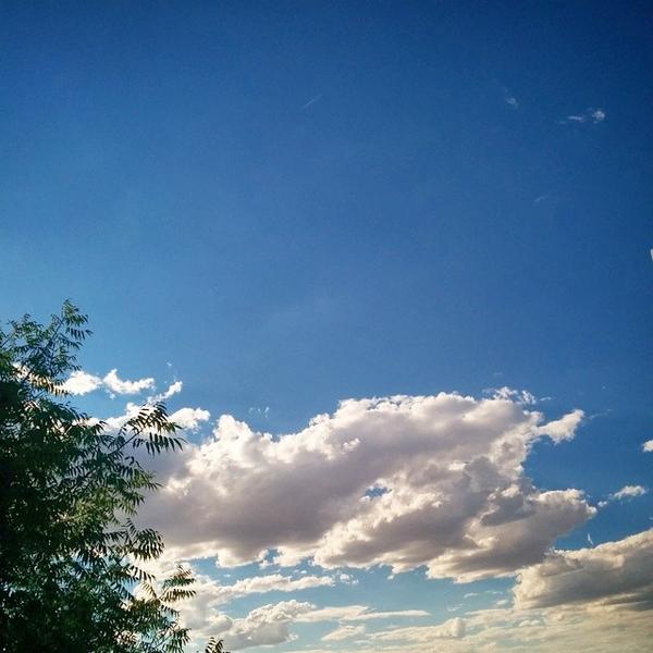 Photo taken at Whole Foods Market by CheapGeek G. on 8/7/2014-美国新墨西哥州阿布奎基卡莱尔大道东北2103 Photo taken at Whole Foods Market by CheapGeek G. on 8/7/2014