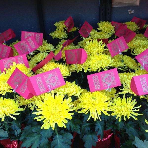 Photo taken at Trader Joe's by Nancy L. on 2/9/2013-加利福尼亚州红木路2052号 Photo taken at Trader Joe's by Nancy L. on 2/9/2013