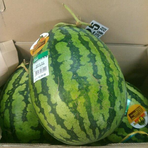 Photo taken at Home plus express by Daesung P. on 8/4/2012-京畿道城南盆唐区 Photo taken at Home plus express by Daesung P. on 8/4/2012