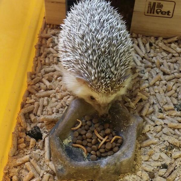 Photo taken at 이마트 (E-Mart) by kjs on 3/14/2015-京畿道城南盆塘区134易买得超市 Photo taken at 이마트 (E-Mart) by kjs on 3/14/2015