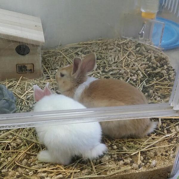 Photo taken at 이마트 (E-Mart) by kjs on 3/14/2015-京畿道城南盆塘区134易买得超市 Photo taken at 이마트 (E-Mart) by kjs on 3/14/2015