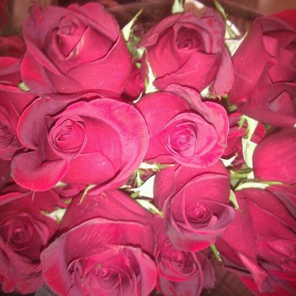 Photo taken at Whole Foods Market by Justin R. on 2/14/2012