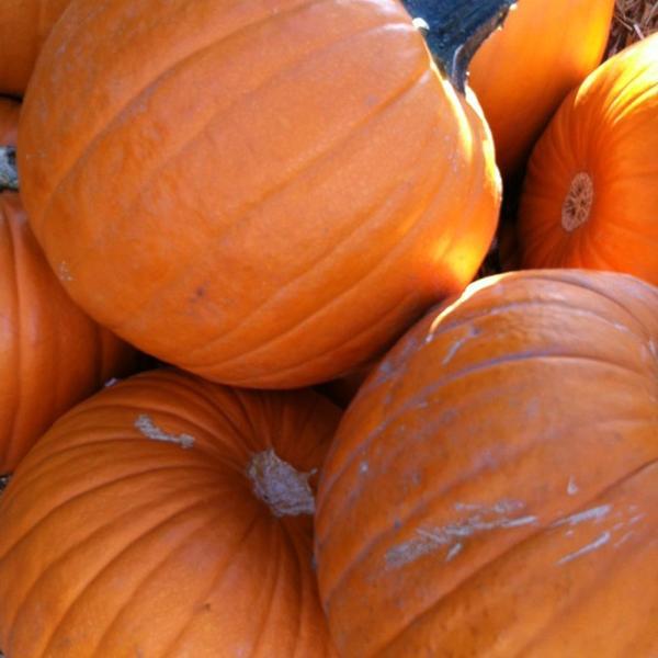 Photo taken at Trader Joe's by Phillip G. on 10/16/2011