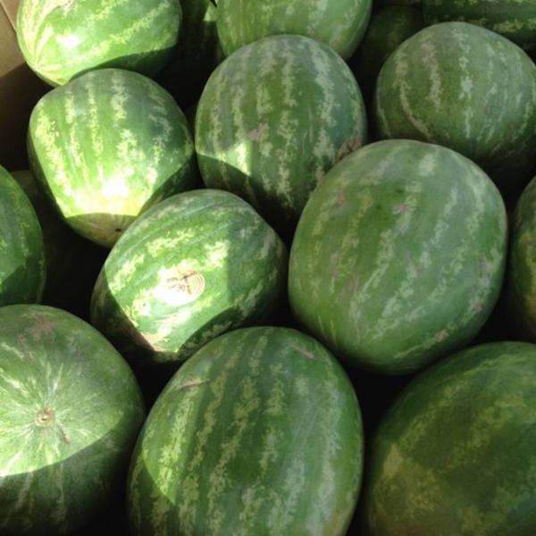 Photo taken at Trader Joe's by Jim W. on 6/23/2012