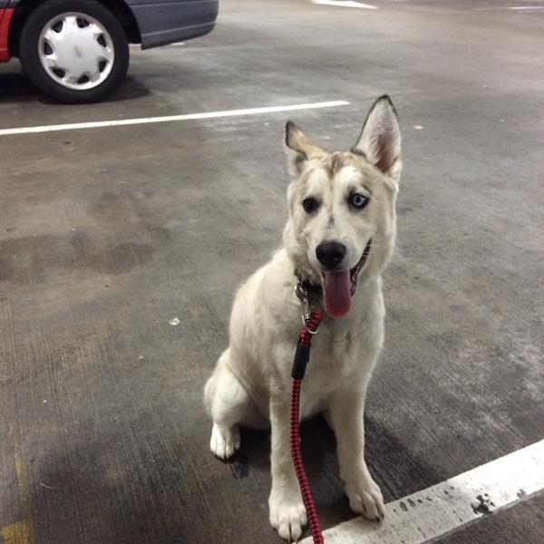 Photo taken at Woolworths by Shea Q. on 1/16/2014