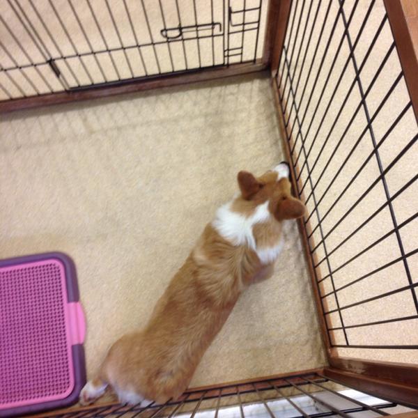 Photo taken at 이마트 (emart) by 규림 on 8/11/2014-首尔特别市瑞草区16易买得超市 Photo taken at 이마트 (emart) by 규림 on 8/11/2014