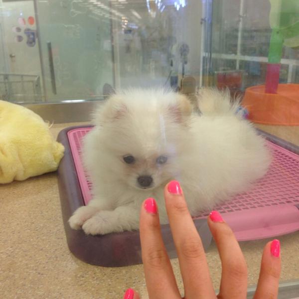 Photo taken at 이마트 (emart) by 규림 on 8/11/2014-首尔特别市瑞草区16易买得超市 Photo taken at 이마트 (emart) by 규림 on 8/11/2014