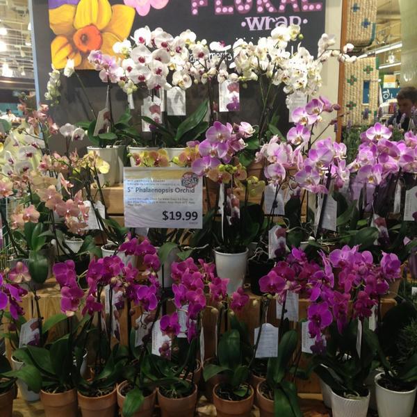 Photo taken at Whole Foods Market by Ashley G. on 7/3/2013