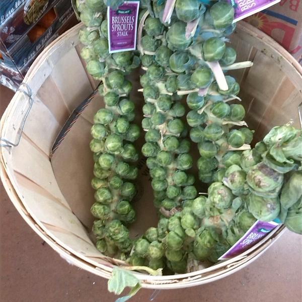 Photo taken at Trader Joe's by Andrey on 11/30/2014-美国华盛顿州雷德蒙德路15932 Photo taken at Trader Joe's by Andrey on 11/30/2014