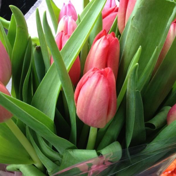 Photo taken at Whole Foods Market by Lisa on 4/8/2012-美国马萨诸塞州波士顿韦斯特兰大道15 Photo taken at Whole Foods Market by Lisa on 4/8/2012