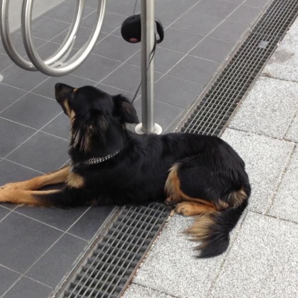 Photo taken at Hofer by austrianpsycho on 6/28/2012-奥地利上奥地利州林茨席勒广场1 Photo taken at Hofer by austrianpsycho on 6/28/2012