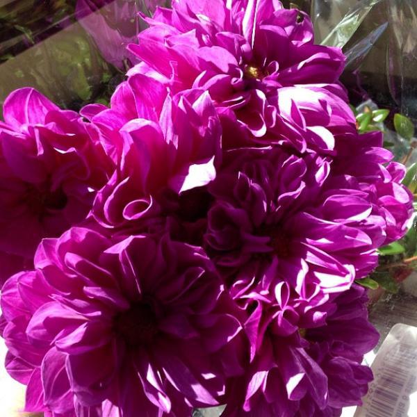 Photo taken at Trader Joe's by Mark B. on 10/19/2013-美国得克萨斯州达拉斯格林维尔大道2001 Photo taken at Trader Joe's by Mark B. on 10/19/2013