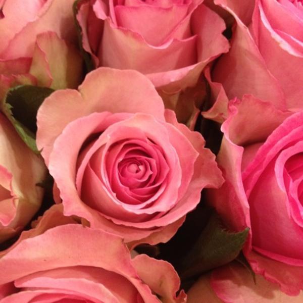 Photo taken at Whole Foods Market by Kirby T. on 6/11/2012-美国得克萨斯州休斯敦百利大道4004 Photo taken at Whole Foods Market by Kirby T. on 6/11/2012