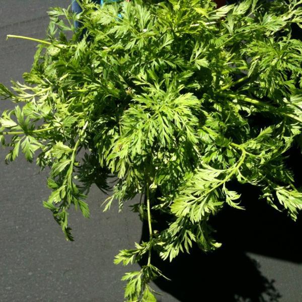 Photo taken at Whole Foods Market by Carmen P. on 5/24/2013