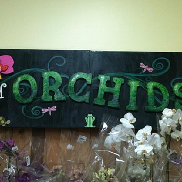 Photo taken at Trader Joe's by Belle M. on 6/1/2012