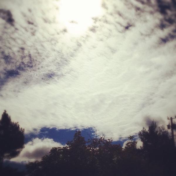 Photo taken at Trader Joe's by Shana R. on 9/20/2013-美国加利福尼亚州圣罗莎克利夫兰大道3225 Photo taken at Trader Joe's by Shana R. on 9/20/2013