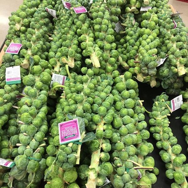 Photo taken at Trader Joe's by Lynn A. on 11/14/2013-美国加利福尼亚州圣罗莎克利夫兰大道3225 Photo taken at Trader Joe's by Lynn A. on 11/14/2013