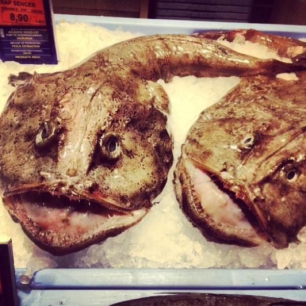 Photo taken at Mercadona by Katarina on 8/6/2013