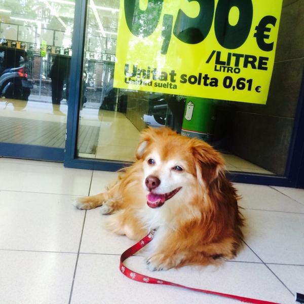 Photo taken at Mercadona by Josh™ ↙ on 6/12/2014