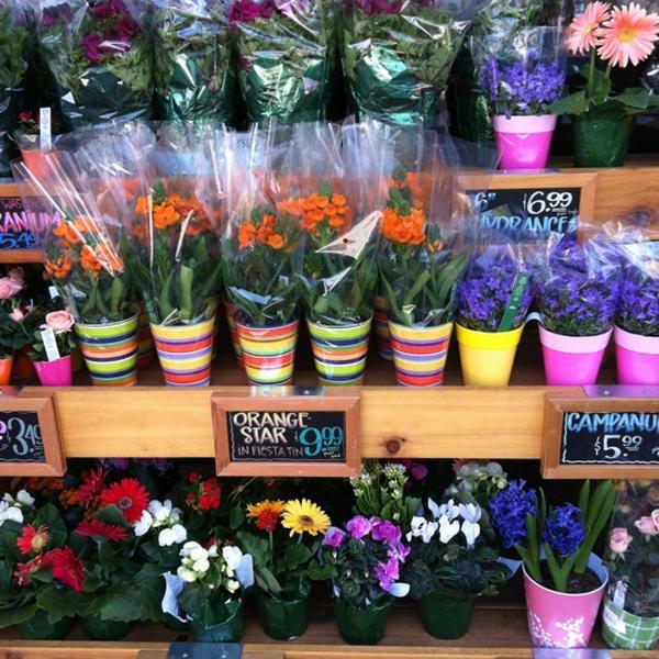 Photo taken at Trader Joe's by Karyn C. on 4/18/2012