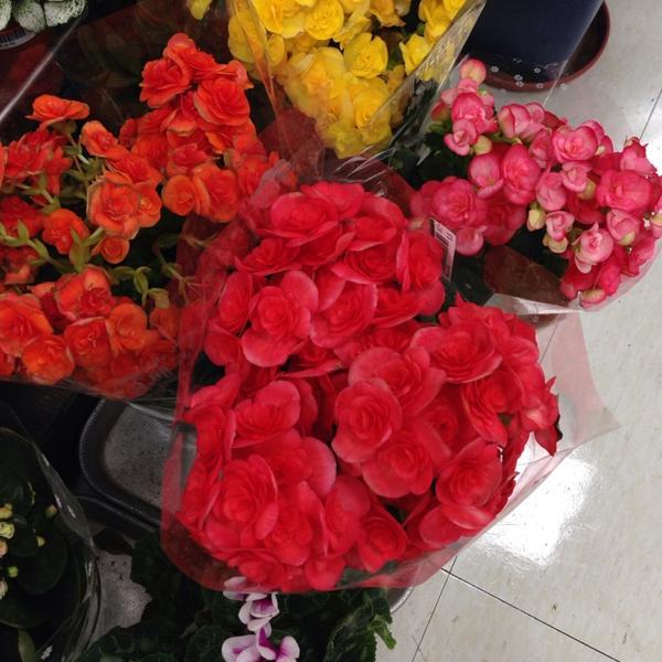 Photo taken at 홈플러스 (Home plus) by Eugenie on 10/21/2013-釜山市海云台区Centum东路6号(Centum City店) Photo taken at 홈플러스 (Home plus) by Eugenie on 10/21/2013