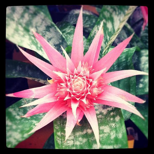 Photo taken at PAK'nSAVE by Michelle M. on 3/27/2012