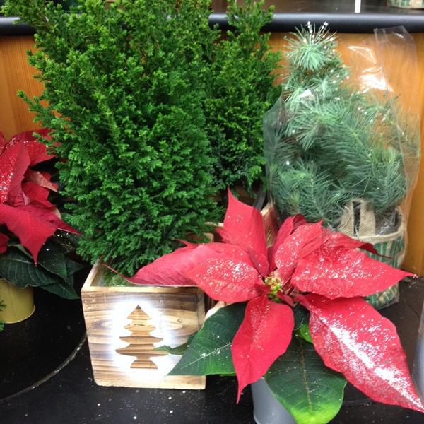 Photo taken at Trader Joe's by SoCal Gal on 12/4/2013-加尼福尼亚欧文欧文大道6222(在沙峡谷大道) Photo taken at Trader Joe's by SoCal Gal on 12/4/2013