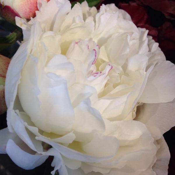 Photo taken at Trader Joe's by Goga on 5/4/2014