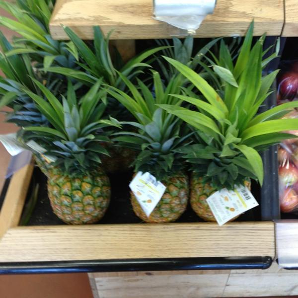 Photo taken at Trader Joe's by Owlbaby on 1/21/2013