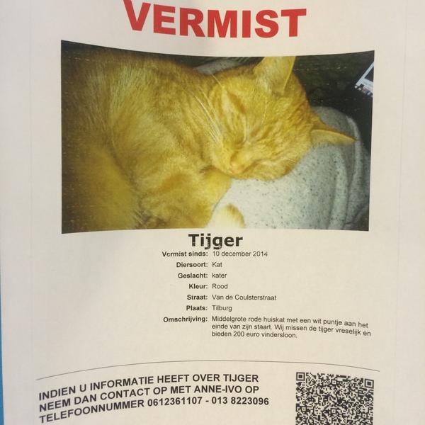 Albert Heijn图片库 Albert Heijn图片库