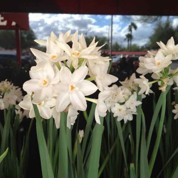 Photo taken at Trader Joe's by Gary M. on 12/13/2012