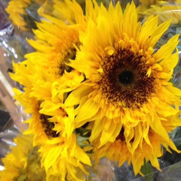 Photo taken at Trader Joe's by Gary M. on 4/13/2012