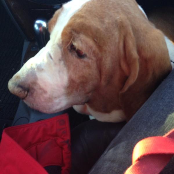 Photo taken at ICA Maxi by Magnus W. on 12/7/2013