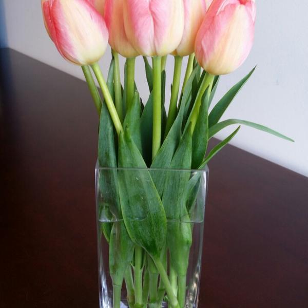 Photo taken at Trader Joe's by Gloria Z. on 4/16/2014