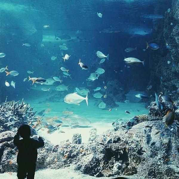 Photo taken at ASDA by Peter B. on 3/27/2014