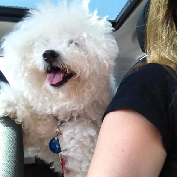 Photo taken at Whole Foods Market by Jill P. on 9/3/2012-德克萨斯州77057 休斯敦 伍德韦车道(在沃斯路南)6401号 Photo taken at Whole Foods Market by Jill P. on 9/3/2012