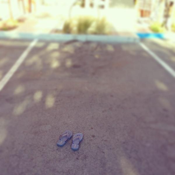 Photo taken at Trader Joe's by Naoto S. on 8/5/2013