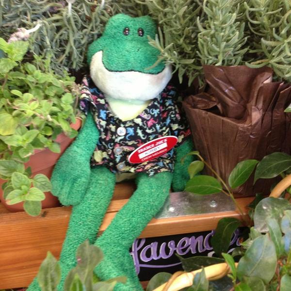 Photo taken at Trader Joe's by curdriceaurora _. on 9/7/2013