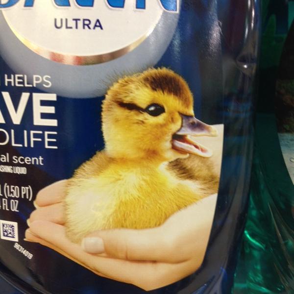 Photo taken at Publix by Phillip Q. on 5/18/2014