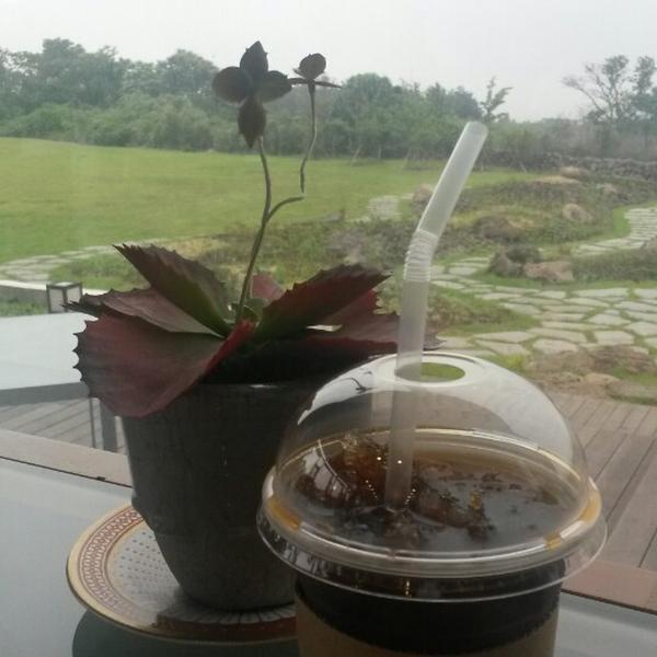 Photo taken at 올리브카페 Olive Cafe by So Young C. on 6/22/2014-济州西归浦市119号 OliveYoung美妆店 Photo taken at 올리브카페 Olive Cafe by So Young C. on 6/22/2014